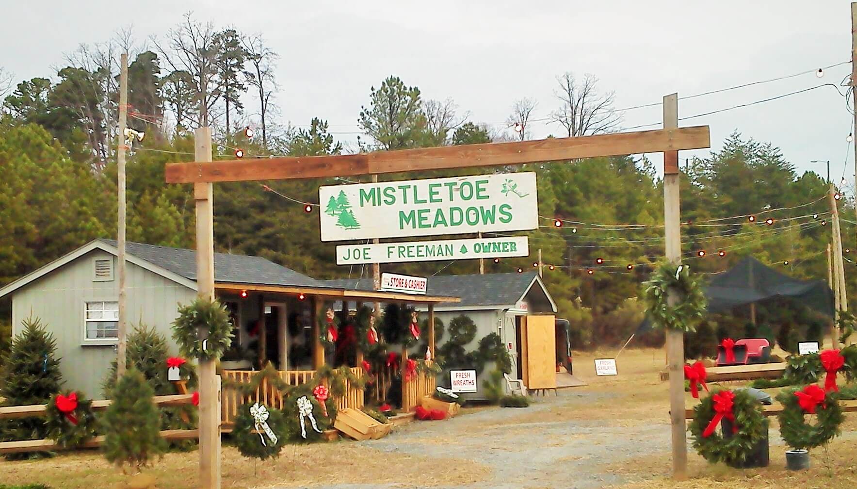 Asheboro, NC Fresh Christmas Trees ⋆ Mistletoe Meadows