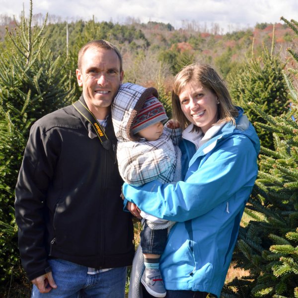 Picking the tree