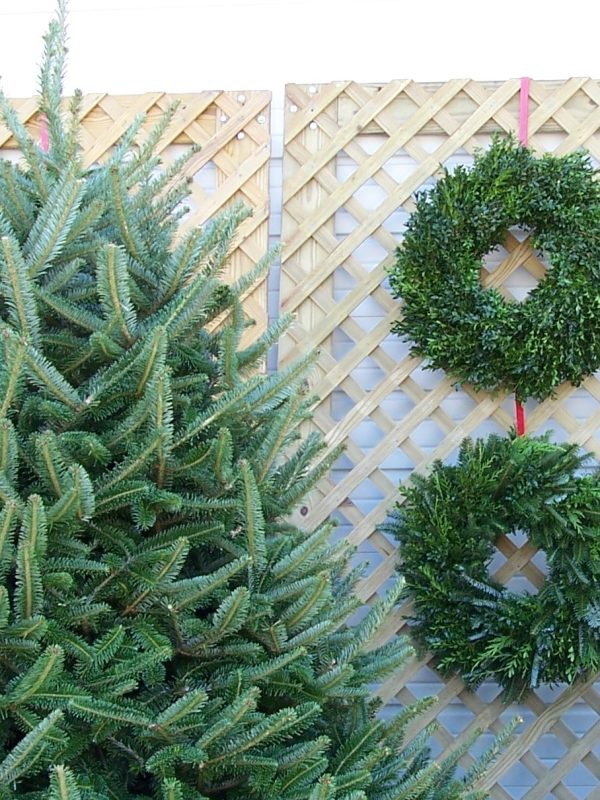Wreaths and trees
