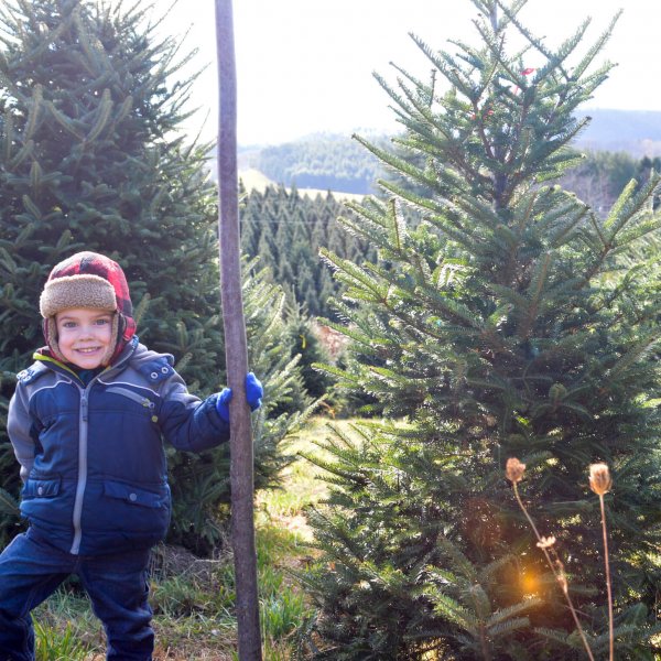 boy with tree