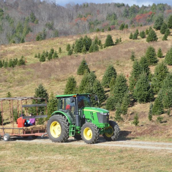 hayride