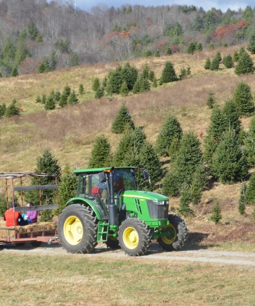 hayride